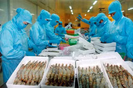 Les exportations de crevettes devraient atteindre 3,1 milliards de dollars en 2016