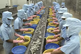 5 mois: les Etats-Unis, premier consommateur de crevettes vietnamiennes 