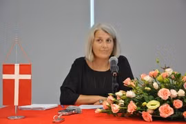 Activités en l’honneur du 45e anniversaire des relations Vietnam-Danemark
