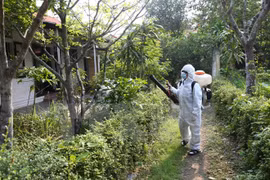 Intensification de l'examen du travail de prévention et de lutte contre le virus Zika