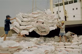 Les exportations de riz atteindront 1,6 million de tonnes au 2e trimestre
