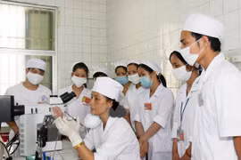 L’AEC pourrait fournir 14,5 millions de plus d'emplois pour le Vietnam en 2025