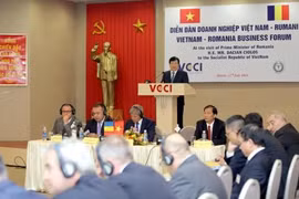 Vietnam et Roumanie renforcent leurs liens économiques