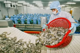 Produits aquatiques: exportation pour plus de 5 milliards de dollars en 9 mois
