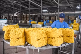 10 mois: exportations d’un million de tonnes de caoutchouc