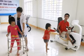 Le Vietnam célèbre la Journée internationale des personnes handicapées