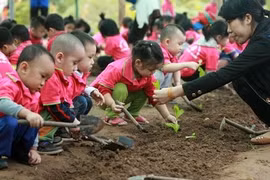 Plan pour l'éducation maternelle 2016-2017