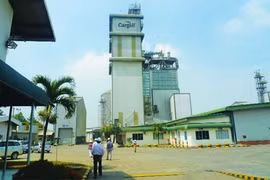 Cargill confiant dans le développement du marché vietnamien de l'alimentation animale