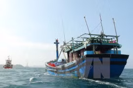 Quang Binh : sauvetage d'un Chinois sinistré en mer