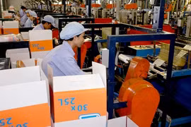 Les géants thaïlandais alléchés par le secteur de la plasturgie du Vietnam