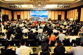 Faire de Dà Nang un grand centre du tourisme maritime