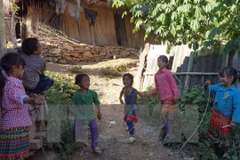 Le Vietnam atteint la plus haute proportion de jeunes de son histoire, selon le FNUAP