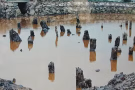 Préservation de la zone des vestiges historiques de Bach Dang