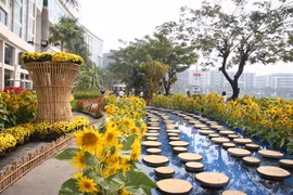 Programme de la foire florale printanière de Phú My Hung 2016