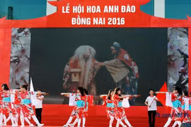 La première fête des fleurs de cerisier à Dong Nai