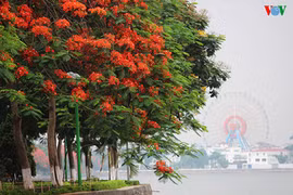 Hanoi aux couleurs de l’été