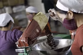 Le café instantané vietnamien s’affirme de plus en plus sur le marché mondial
