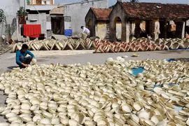 Thanh Hoa cherche à préserver ses villages de métiers