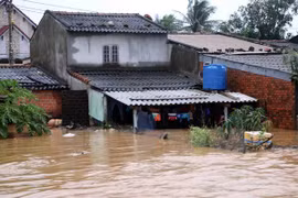 Le PM décide d’octroyer 2.000 tonnes de riz aux sinistrés de Binh Dinh