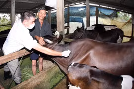 Renforcer la lutte contre les zoonoses