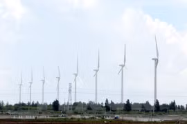 Inauguration du parc éolien de Bac Lieu