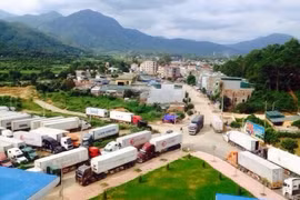 Développer les zones économiques frontalières de Quang Ninh