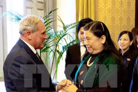Visite de travail de la vice-présidente de l’AN Tong Thi Phong en Italie