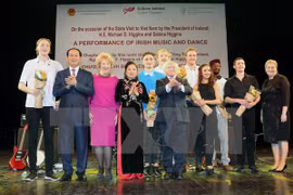 Célébration des 20 ans des relations Vietnam-Irlande