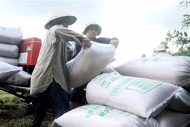 Riz: 202.000 tonnes exportées en deux semaines