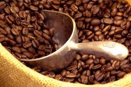Les Algériens apprécient le café vietnamien