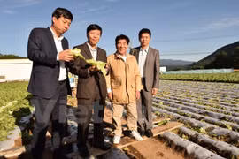 Kawakami, village japonais miraculeux dans l’agriculture, veut coopérer avec le Vietnam