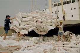 Le riz vietnamien a besoin d’une marque internationale