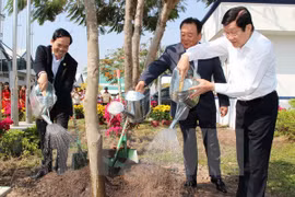 Lancement de la Fête de plantation d'arbres du Printemps Binh Thân 2016