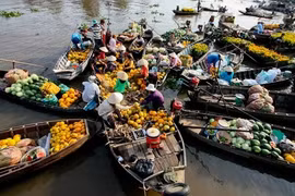 Environ 1,25 milliard de dollars engagés dans le développement du Delta du Mékong