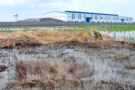 L’Allemagne partage ses expériences en matière de dépollution des sols contaminés aux métaux lourds
