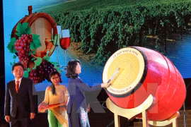 Ouverture de la Fête de la Vigne et du Vin - Ninh Thuan 2016