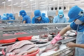Vietnam-Brésil : nouvelles perspectives d’investissement et de commerce des produits agricoles