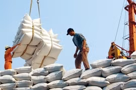 Le Vietnam cherche à élaborer un label pour son riz 