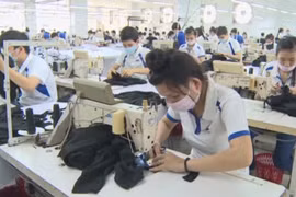 Exportations: Tien Giang réalise un chiffre d’affaires de 1,27 milliard de dollars