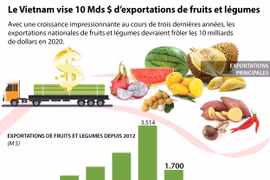Le Vietnam vise 10 Mds $ d’exportations de fruits et légumes