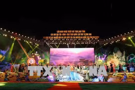 Ouverture du 6e festival du chant « then » et du « dan tinh » à Ha Giang