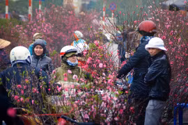 Le marché aux fleurs de Quang Ba est l’une des 14 destinations idéales pour le Tet