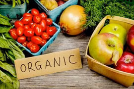 L'Indonésie renforce l'exportation de produits bio