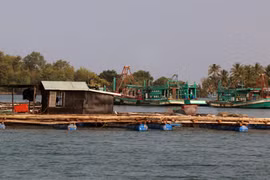 Kien Giang : des exportations au beau fixe