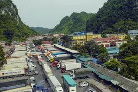 Le Vietnam devient le plus grand partenaire commercial de la Chine au sein de l'ASEAN