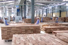 VPA/FLEGT: construction d'un marché de bois transparent et équitable