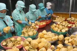 Exportations de produits agricoles: le Vietnam au 2e rang en Asie du Sud-Est, 15e dans le monde
