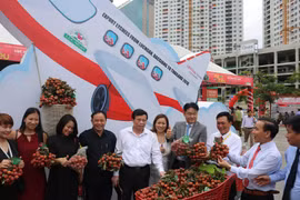 200 tonnes de litchis "thiêu" de Luc Ngan seront exportées en Thaïlande 