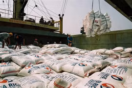 Riz et produits aquatiques : les exportations au deuxième semestre seraient optimistes