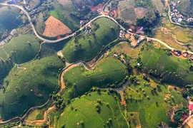 Faire naître la marque du thé vert de Phu Tho